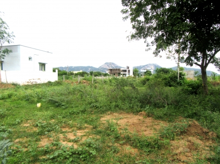 4) Li Id 228 - Pic 5.JPG